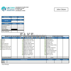 USA LA CITY employees' retirement system fake pay stub Word and PDF template