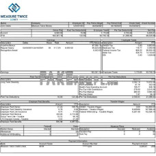 USA MEASURE Twice Financia fake payslip Word and PDF template