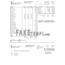 USA Maryland University of Maryland fake Medical Center Word and PDF template