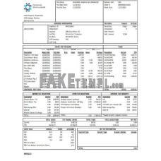 USA New Jersey Hackensack Meridian Health fake earnings statement Word and PDF template