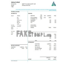 USA New York Abstract United fake pay stub Word and PDF template