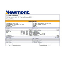 USA Newmont Corporation mining company fake Word and PDF template