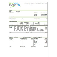 USA NextEra Energy electric company fake Word and PDF template