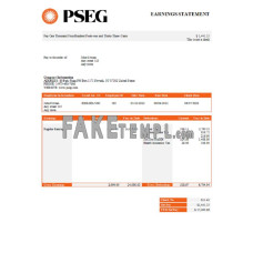 USA PSEG utilities company fake Word and PDF template