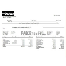 USA Parker Hannifin fake engineering company Word and PDF template