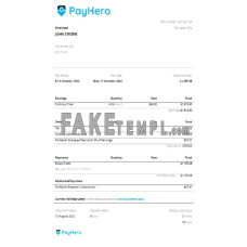 USA PayHero financial company fake Word and PDF template