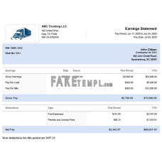 USA South Carolina TRUCKING LLC fake paystub Word and PDF template