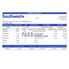 USA Southwest Airlines airlines company fake Word and PDF template