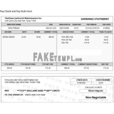 USA THE CLEAN Janitorial Mainenance Inc fake pay stub Word and PDF template