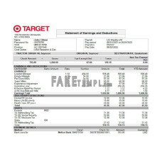 USA Target fake retail company Word and PDF template