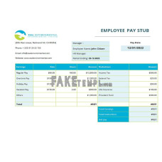 USA Texas commercial cleaning company fake earnings statement Word and PDF template