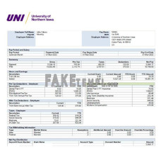 USA UNIVERSITY of Norther Iowa fake pay stub Excel and PDF template