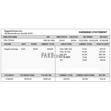 USA VIRGINIA Magnolia Home Care fake earning statement Word and PDF template