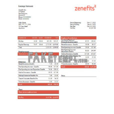 USA Zenefits fake technology company Word and PDF template