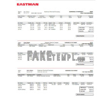 USA chemical industry fake earning statement Word and PDF template