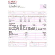 USA clothing company fake earning statement Word and PDF template