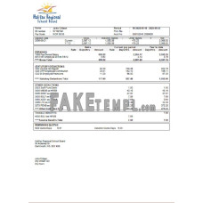 USA educational fake earning statement Word and PDF template