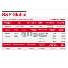 USA financial company fake earning statement Word and PDF template