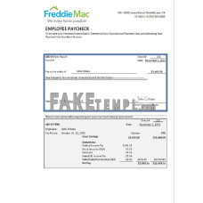 USA financial fake earning statement Word and PDF template