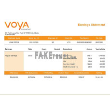 USA financial fake earning statement Word and PDF template, version 2