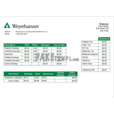 USA forest and paper company fake employee sheet  Word and PDF template