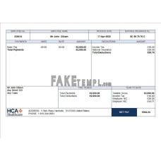 USA healthcare fake employee sheet Word and PDF template