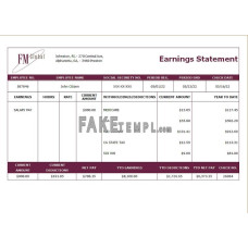 USA insurance company fake earning statement Word and PDF template