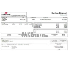 USA fake manufacturing company fake earning statement Word and PDF template