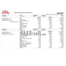 USA pharmaceutical company fake earnings statement Word and PDF template