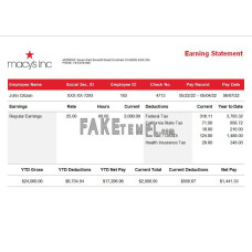 USA retail company fake earning statement Word and PDF template, version 3