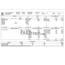 USA school fake employee sheet Word and PDF template