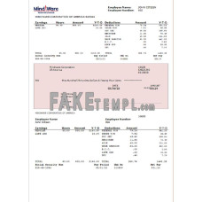 USA fake software company fake employee sheet  Word and PDF template