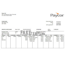 USA software technologies company fake Word and PDF template