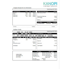 United Kingdom Kanopi Contract services fake payroll company Word and PDF template