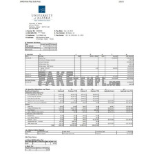 University of Alaska fake pay stub Word and PDF template