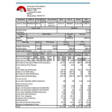 University of New Mexico fake pay stub Word and PDF template