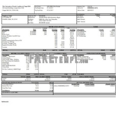 University of North Carolina fake pay stub Word and PDF template