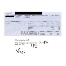 VACATION Acc pay works fake pay stub Word and PDF template