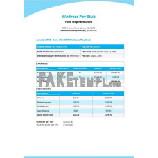 Waitress fake pay stub Word and PDF template