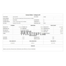 Zamora Media Coding fake pay stub Word and PDF template