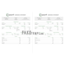 Zenfake payroll fake earnings statement Word and PDF template