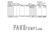 Zzamong company fake pay stub Word and PDF template