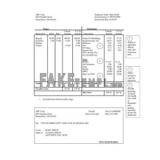 corporation fake pay stub Word and PDF template