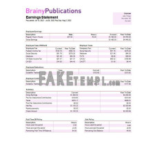 digital publishing company fake pay stub Word and PDF templates