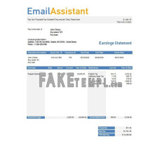 email services company fake earning statement Word and PDF template