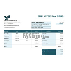 Employee fake pay stub Word and PDF template, version 5