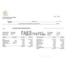 food company fake earning statement Word and PDF template