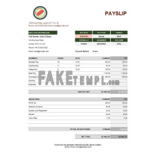 Food meat company fake earning statement Excel and PDF template