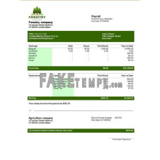 Forestry company fake payslip Word and PDF template