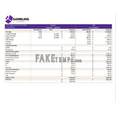 gambling company fake pay stub Word and PDF template